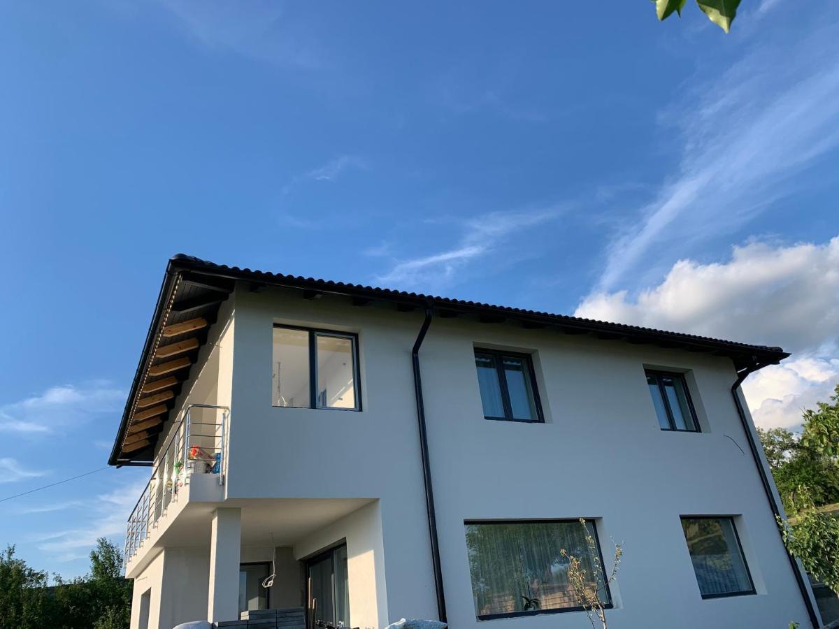 Viktoria House Βίλα Odorheiu Secuiesc Εξωτερικό φωτογραφία