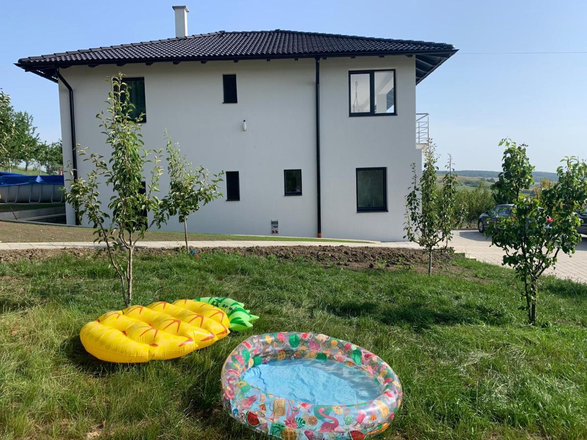 Viktoria House Βίλα Odorheiu Secuiesc Εξωτερικό φωτογραφία