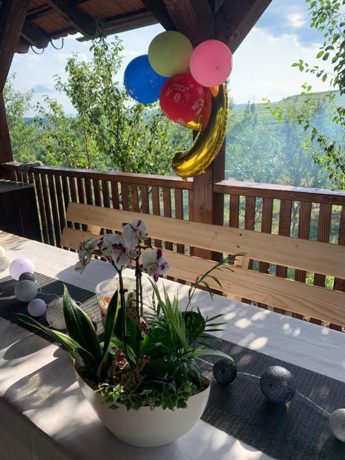 Viktoria House Βίλα Odorheiu Secuiesc Εξωτερικό φωτογραφία