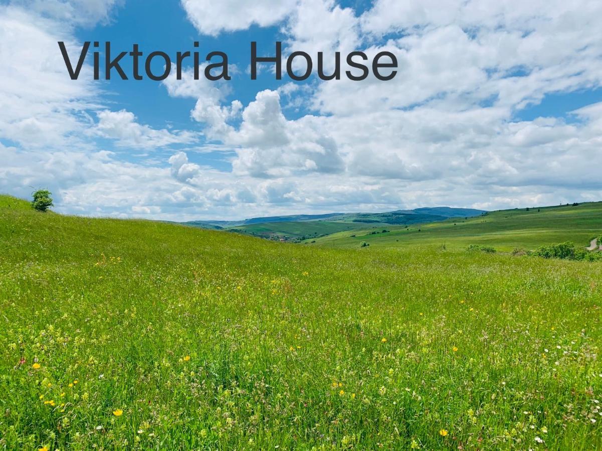 Viktoria House Βίλα Odorheiu Secuiesc Εξωτερικό φωτογραφία