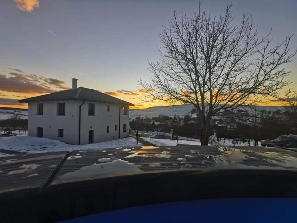 Viktoria House Βίλα Odorheiu Secuiesc Εξωτερικό φωτογραφία